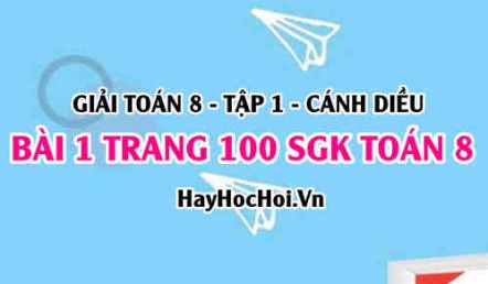 Giải bài 1 trang 100 Toán 8 Tập 1 SGK Cánh Diều